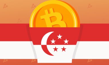 Крупнейший банк Сингапура подтвердил запуск криптовалютной биржи