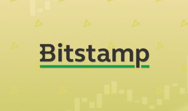 Bitstamp извинилась за отчет Messari, где XRP назван «токсичным активом»