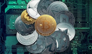 19-летний украинский депутат задекларировал криптовалюту на $24 млн