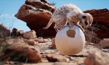 Очень реалистичное технодемо Unreal Engine 4 о сурикате доступно для скачивания