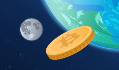 Интерес пользователей Twitter и Википедии к биткоину вырос на фоне ценовых максимумов