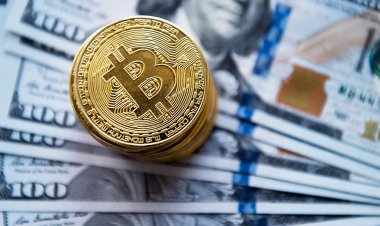 Хедж-фонд сообщил о покупке биткойнов на $600 млн