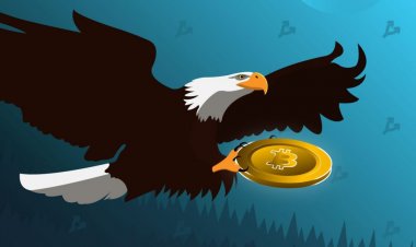 SEC обвинила в мошенничестве основателя двух криптовалютных хедж-фондов