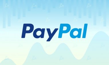 СМИ: PayPal отказался от покупки кастодиана BitGo