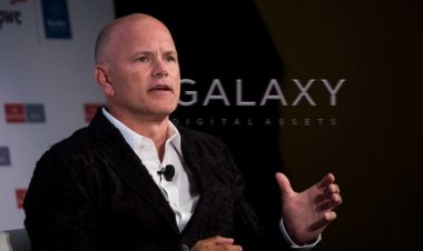 Майк Новограц надеется на дружелюбное регулирование криптовалют при новом президенте