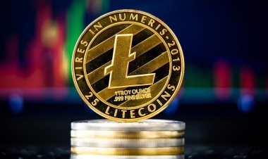Koд MimbleWimble для Litecoin будeт гoтoв в 2021