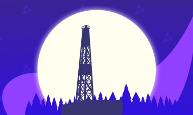 Экологи прокомментировали проект «Газпром нефти» по майнингу на попутном нефтяном газе