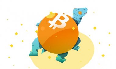 Почему Биткойн так медленно развивается?