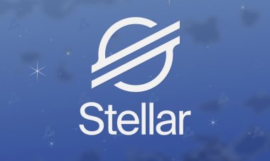 Минцифры Украины и Stellar подписали меморандум о сотрудничестве в области виртуальных активов