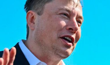 Маск прорекламировал Signal, и акции компании выросли в 12 раз. Но оказалось, инвесторы вложились не туда