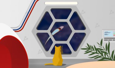 ForkLog разыграет мерч и $300 в ETH в ходе онлайн-конференции