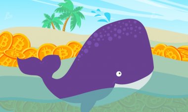 Институционалы приобрели более 1 млн BTC текущей стоимостью около $40 млрд