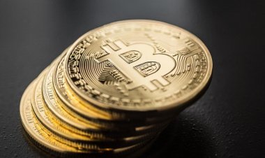 Rothschild Investment увеличила вложения в биткойн