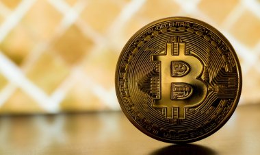 Coindesk: крупнейшие университеты мира инвестировали в биткойн