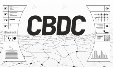 Российские аналитики создали первый CBDC-навигатор