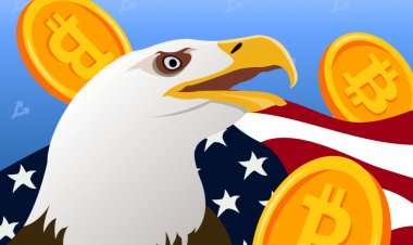 В Slush Pool заявили, что не взаимодействуют с адресами из санкционного списка США