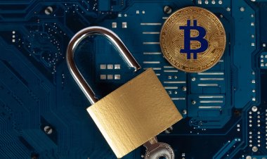 Прокуратура Германии не смогла получить доступ к 1 700 биткойнам осужденного хакера
