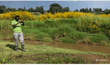 [Перевод] Израильский стартап использует искусственный интеллект, чтобы искоренить малярию
