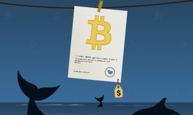 Первый биткоин-ETF в Северной Америке привлек $421 млн за два дня