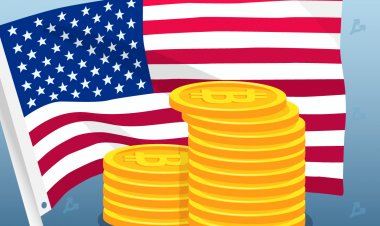 Опрос: американцы инвестируют $38 млрд из господдержки в биткоин или акции