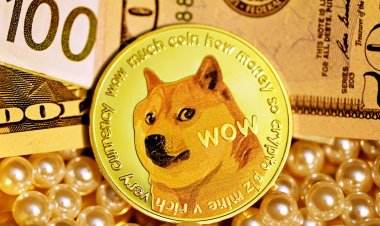 Четыре причины бежать от Dogecoin как от чумы