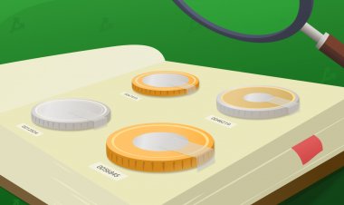 NFT-маркетплейс с инвестициями Марка Кьюбана привлек $13 млн