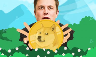 Илон Маск опроверг слухи о майнинге Dogecoin на суперкомпьютере Tesla