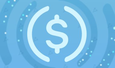 Эмитент USDC создаст «глобальную сеть стейблкоинов»