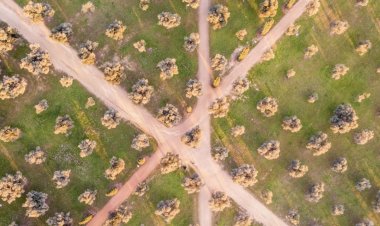 Определяя направление крипторынка