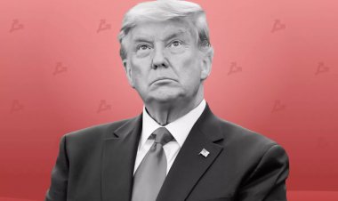 Итог судебного процесса над Дональдом Трампом пошатнул «политические» мем-токены