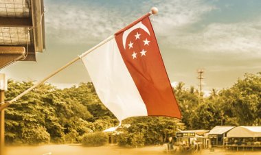 В Nansen раскрыли криптовалютные запасы крупнейшего банка Сингапура