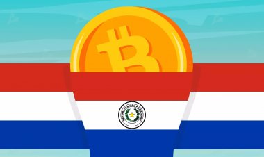 Власти Парагвая изъяли 2738 ASIC-майнеров с подпольной фермы