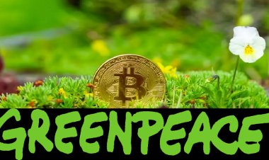 Гринпис: Финансовые учреждения Уолл-стрит должны нести ответственность за майнинг