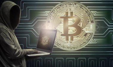 Хакер из штата Индиана признал вину в краже криптовалют на $37 млн