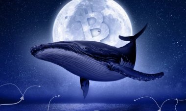 Биткоин-кит перевел добытые в 2009 году монеты на $3,6 млн