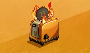 Надо было покупать: личность Сатоши раскрыта, токены тапалок обвалились, в обменниках Питера обыски