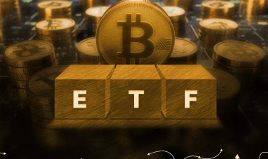 Суточный приток в биткоин-ETF достиг шестинедельного максимума