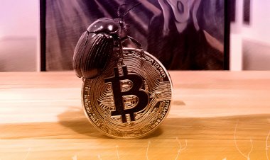 Эксперт указал на скорое исчерпание цикла роста биткоина