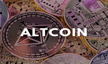 Рынок альткоинов вошел в новую фазу — CryptoQuant