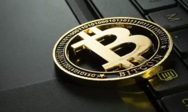 Трамп опять все испортил: рост крипторынка оказался недолгим