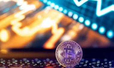 72% компаний назвали криптовалюты конкурентным преимуществом — опрос