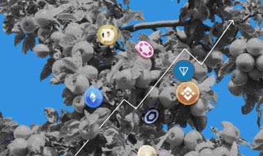 Объемы торгов альткоинами обвалились на 80% 