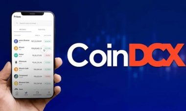 Владельцев криптобиржи обвинили в обмане инвесторов при помощи 1212 сайтов-клонов