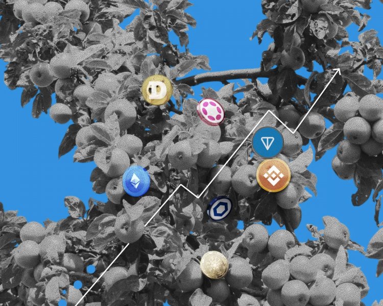 Объемы торгов альткоинами обвалились на 80% 