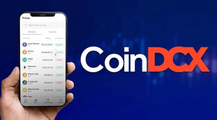 Владельцев криптобиржи обвинили в обмане инвесторов при помощи 1212 сайтов-клонов