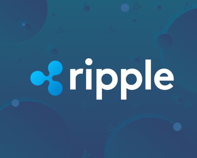 Компания Bitwise исключила токен XRP из индексного криптовалютного фонда