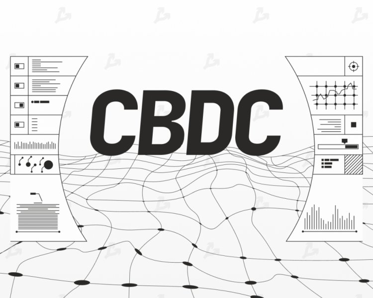 Российские аналитики создали первый CBDC-навигатор