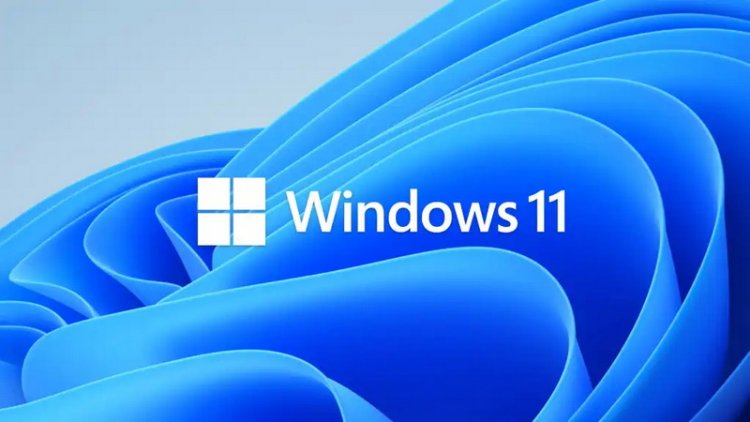 После установки Windows 11 24H2 на компьютерах пропадают некоторые приложения — и это не баг, а фича