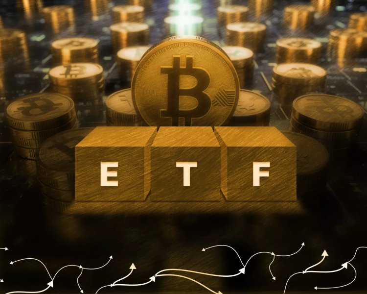 Суточный приток в биткоин-ETF достиг шестинедельного максимума 