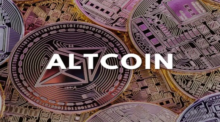 Рынок альткоинов вошел в новую фазу — CryptoQuant